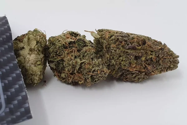 jokers strain