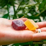 THC products in North Carolina