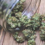 CBD Sleep Gummies – ever heard of these popular cannabis products?