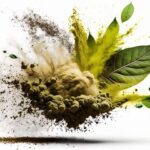 How to Obtain Kratom Strains Approval?
